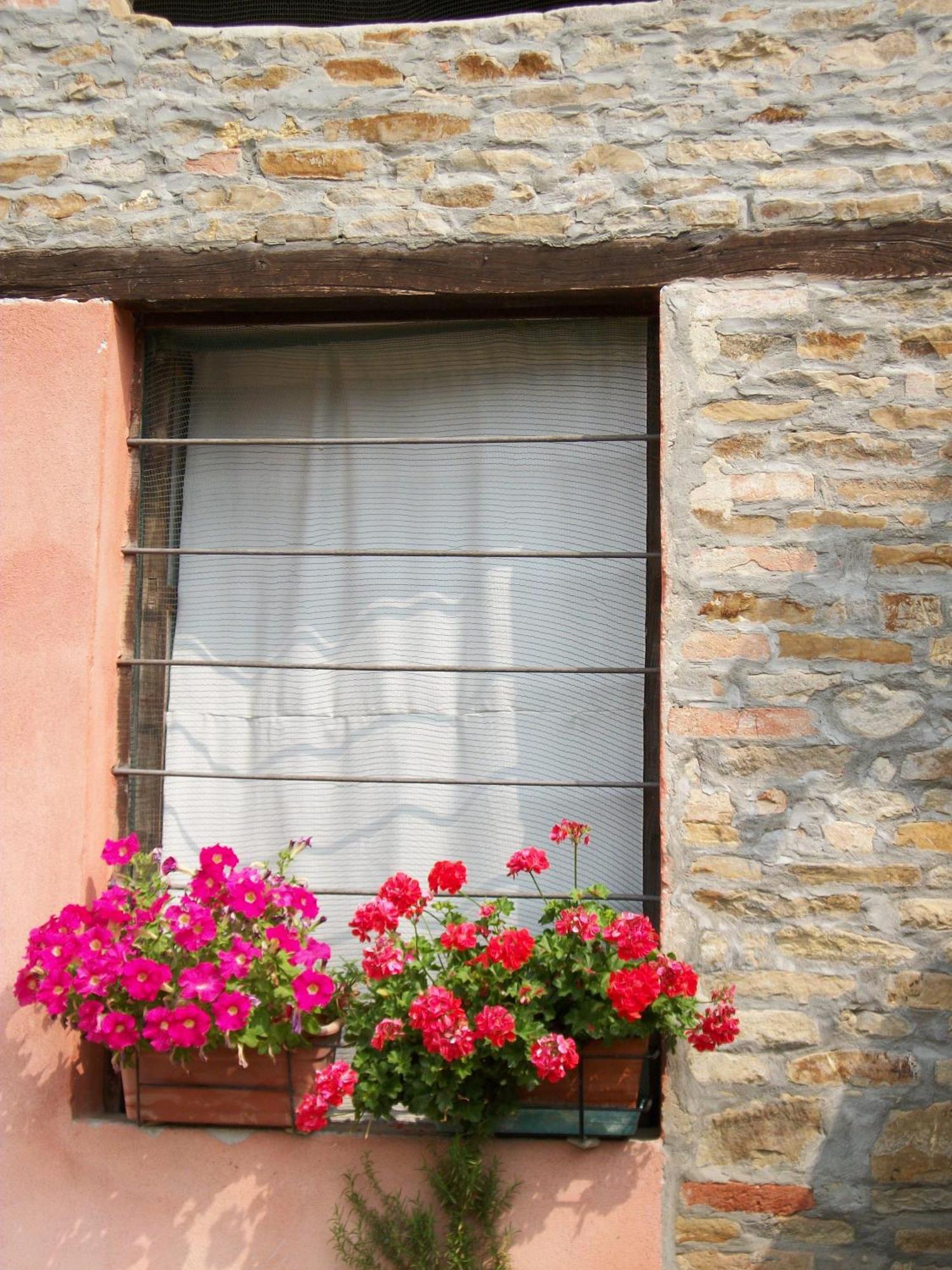 Agriturismo Ca Trinche Camo Kültér fotó