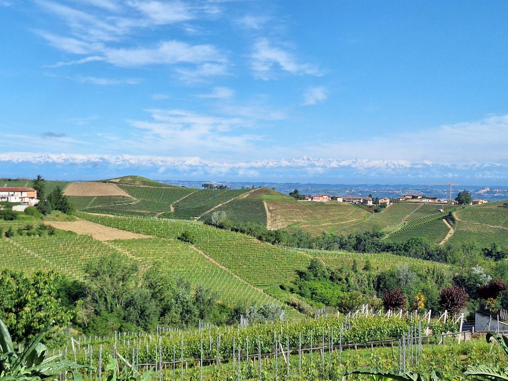 Agriturismo Ca Trinche Camo Kültér fotó