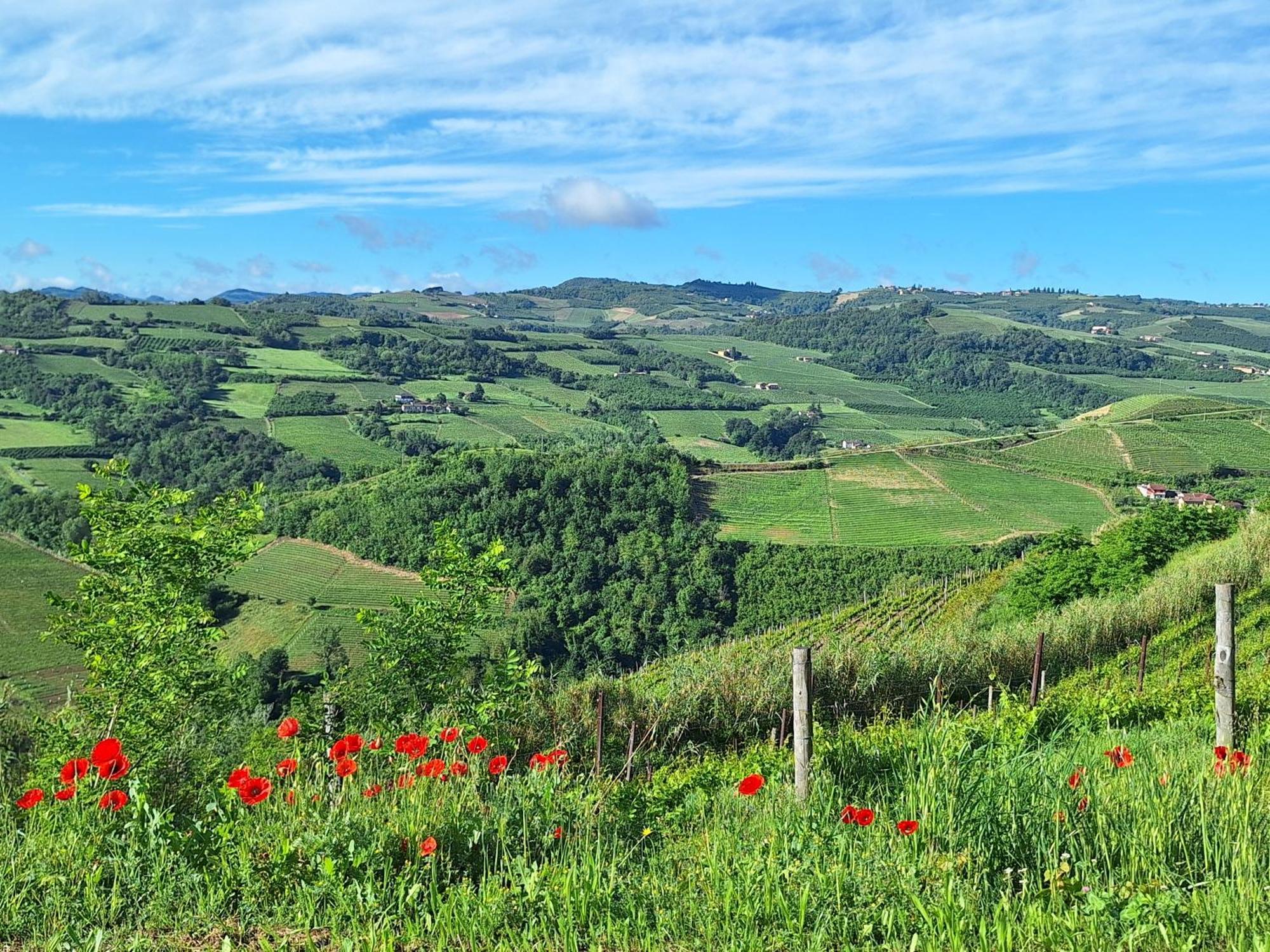 Agriturismo Ca Trinche Camo Kültér fotó