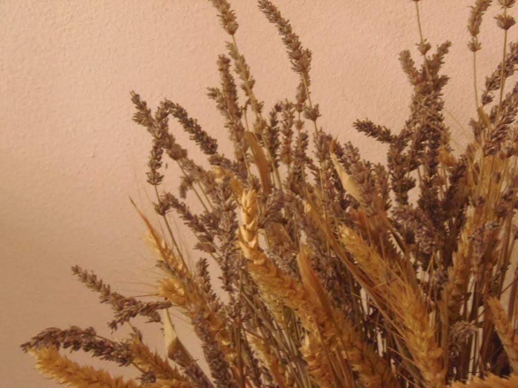 Agriturismo Ca Trinche Camo Kültér fotó