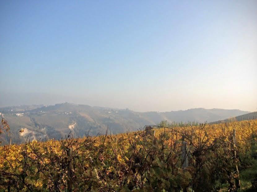 Agriturismo Ca Trinche Camo Kültér fotó